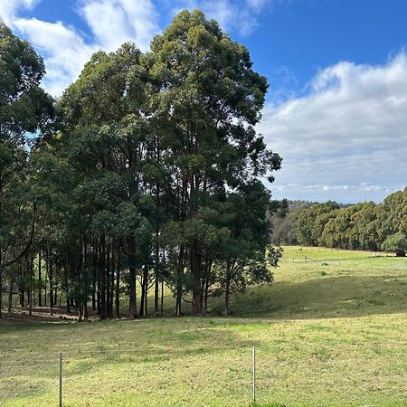 Blueberry Hills On Comleroy Farmstay - Self-Contained Cottages Kurrajong エクステリア 写真