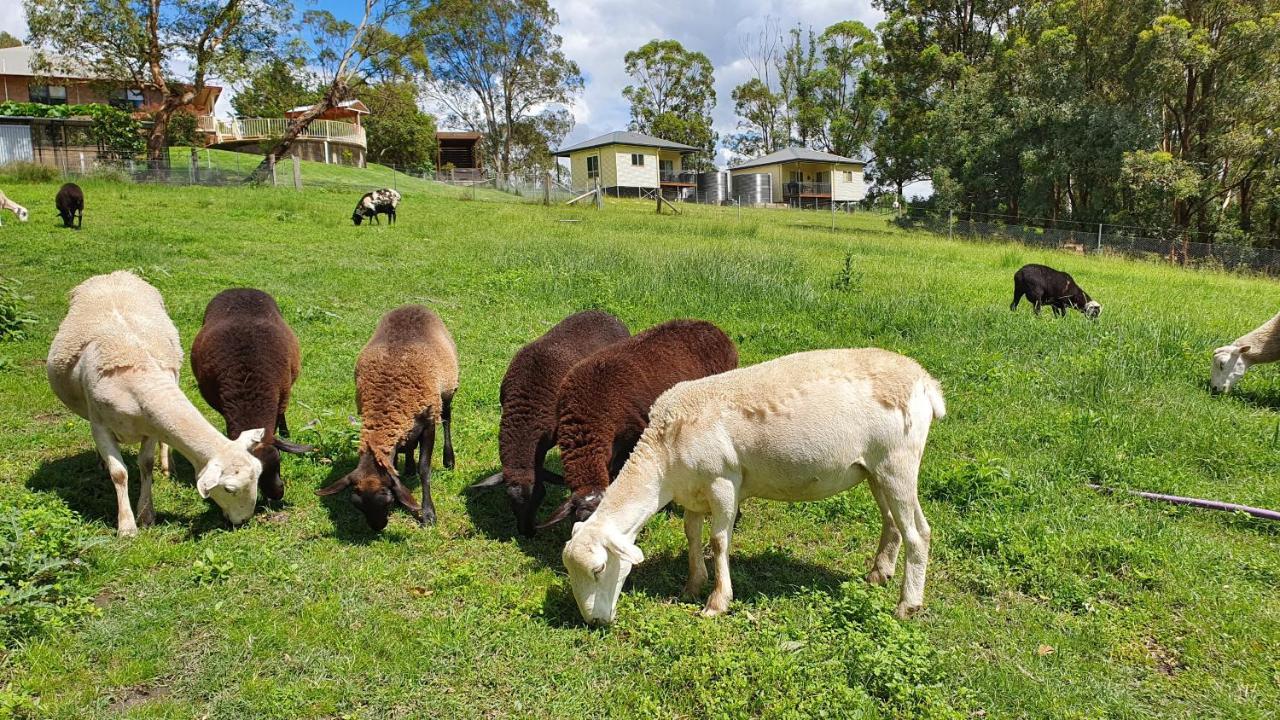 Blueberry Hills On Comleroy Farmstay - Self-Contained Cottages Kurrajong エクステリア 写真