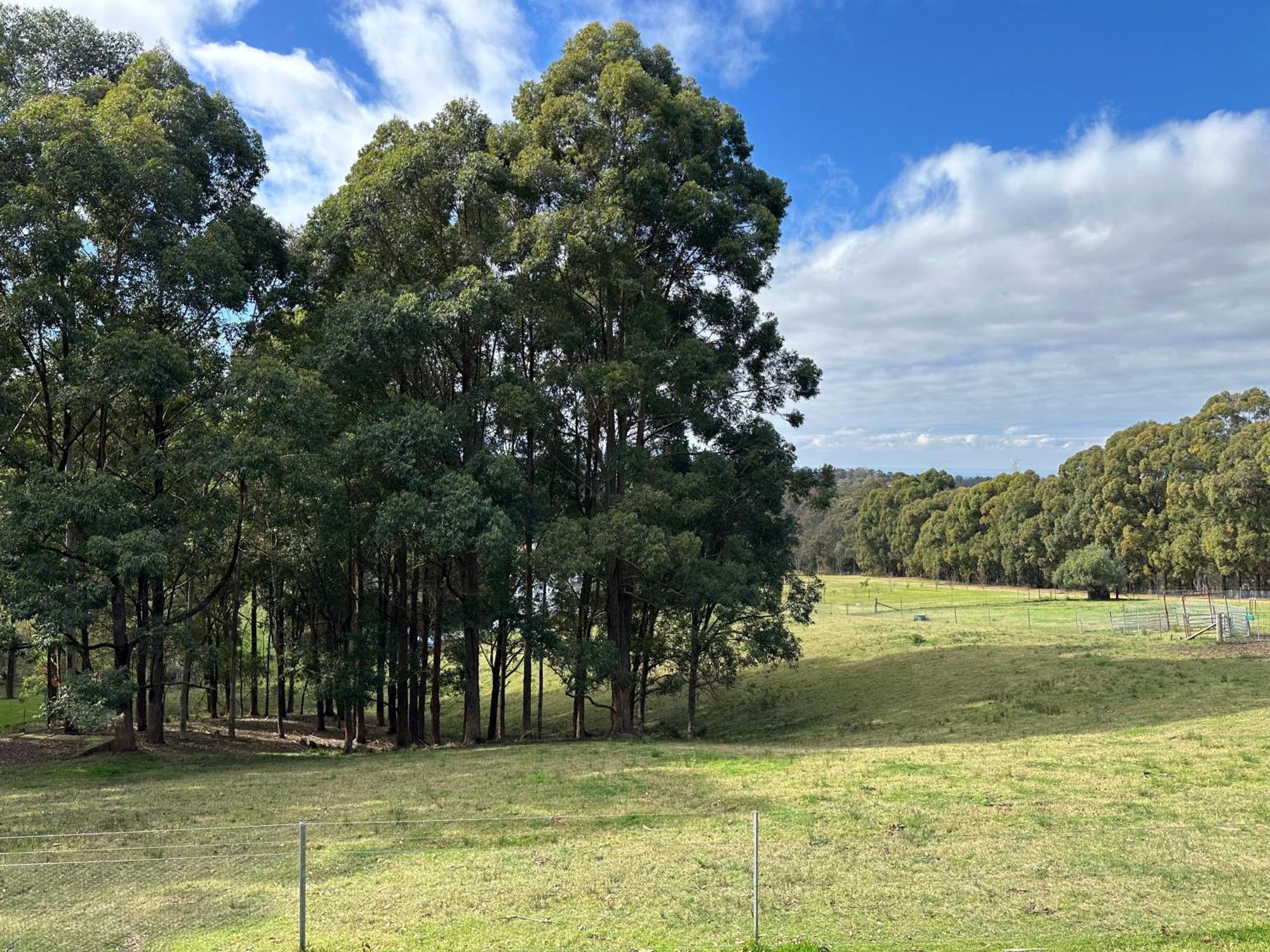 Blueberry Hills On Comleroy Farmstay - Self-Contained Cottages Kurrajong エクステリア 写真