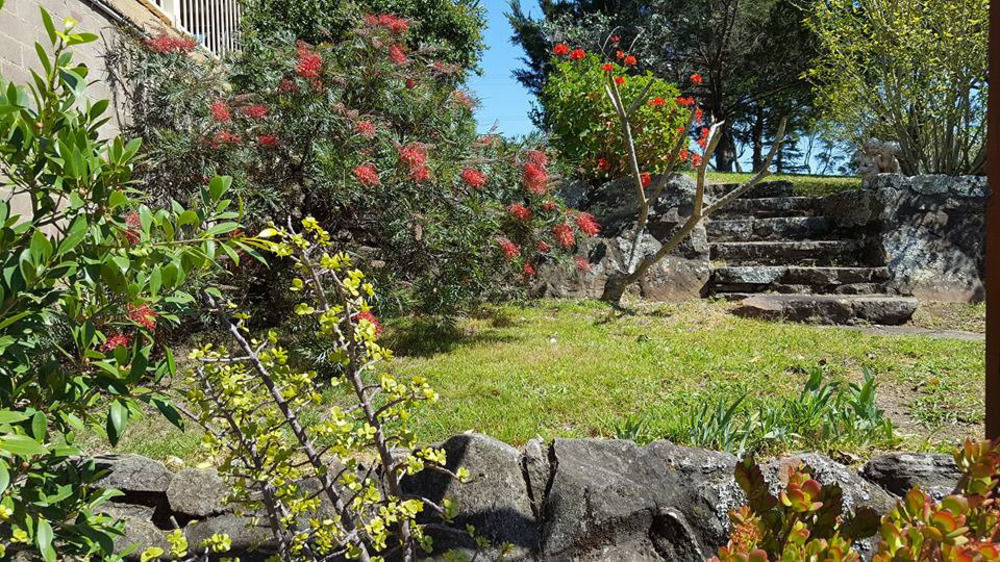 Blueberry Hills On Comleroy Farmstay - Self-Contained Cottages Kurrajong エクステリア 写真
