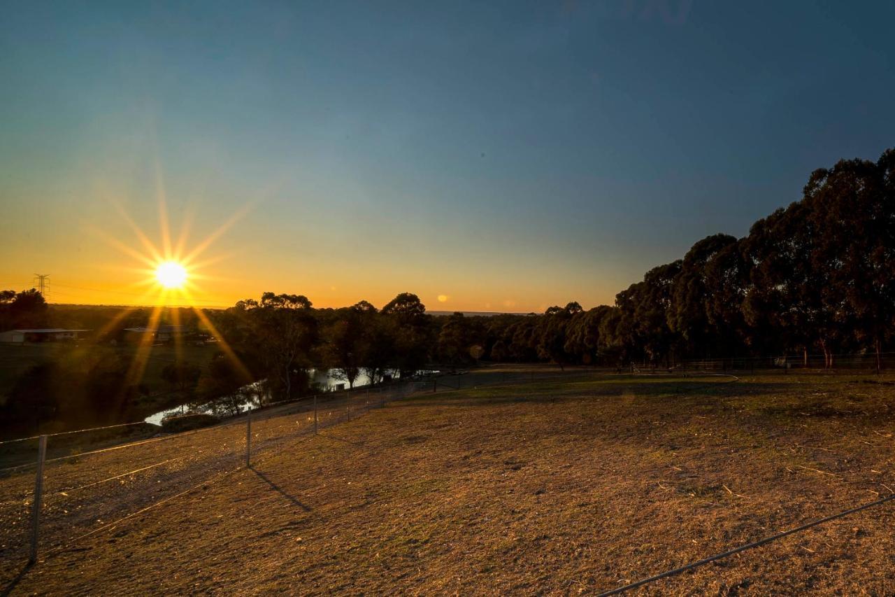 Blueberry Hills On Comleroy Farmstay - Self-Contained Cottages Kurrajong エクステリア 写真
