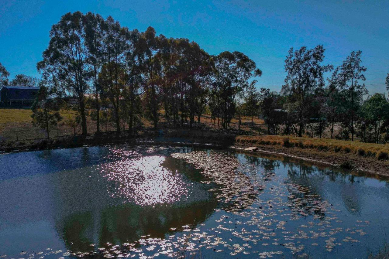 Blueberry Hills On Comleroy Farmstay - Self-Contained Cottages Kurrajong エクステリア 写真