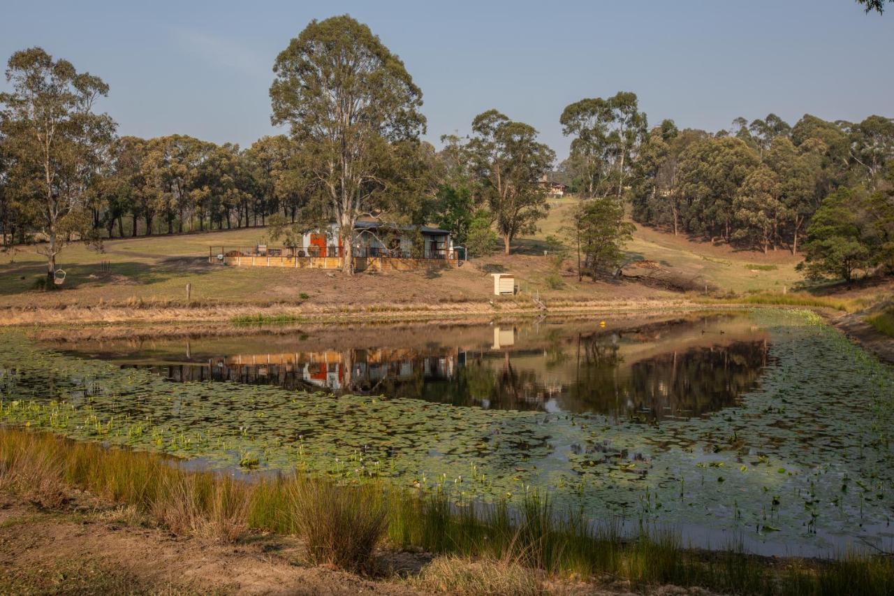 Blueberry Hills On Comleroy Farmstay - Self-Contained Cottages Kurrajong エクステリア 写真