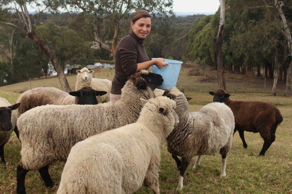Blueberry Hills On Comleroy Farmstay - Self-Contained Cottages Kurrajong エクステリア 写真